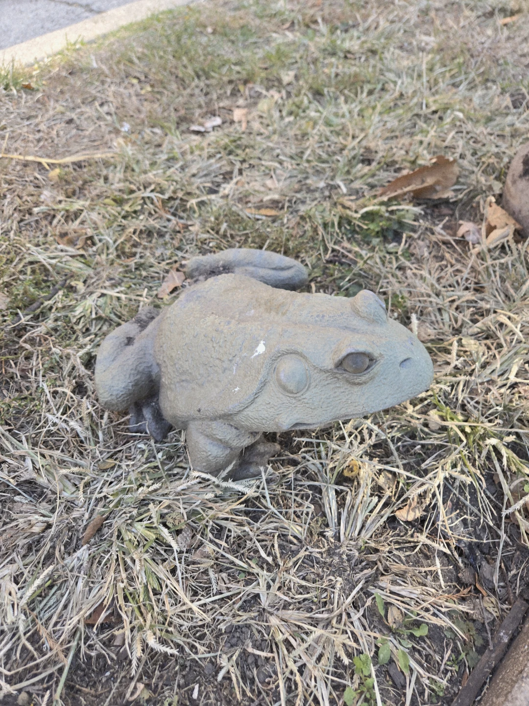 Garden Frog Statue