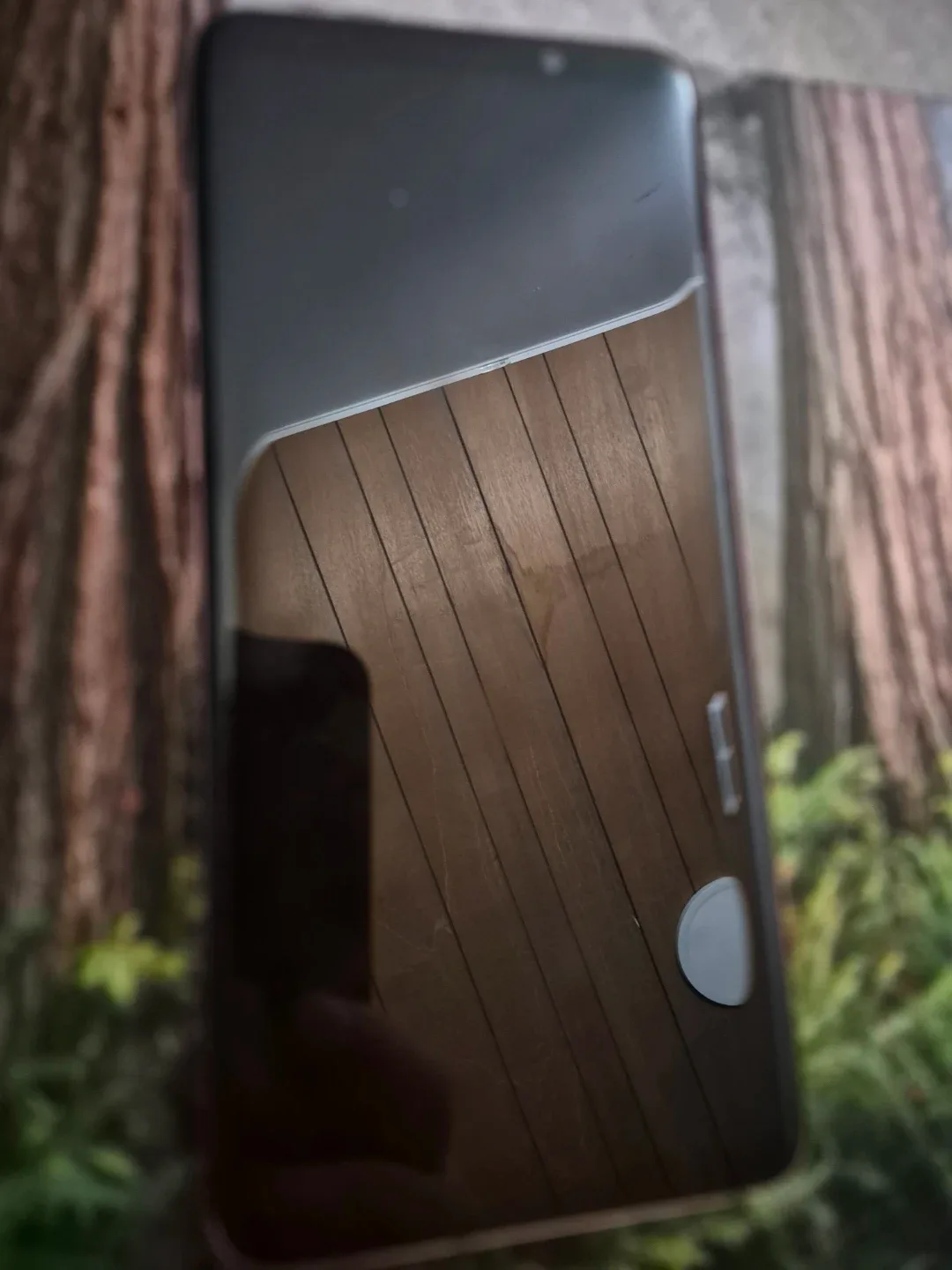 Samsung Galaxy S9+ 🥕 image indicator(2)