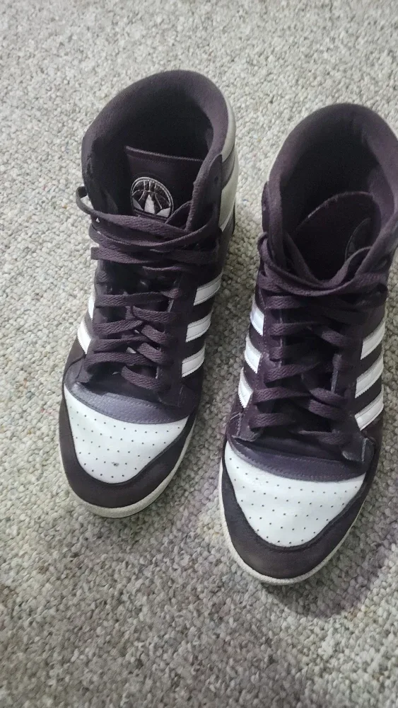 Adidas Top Ten High-Top Sneakers