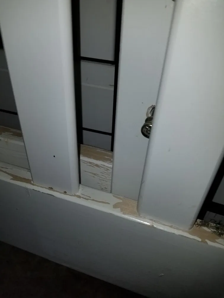 White Crib image indicator(2)