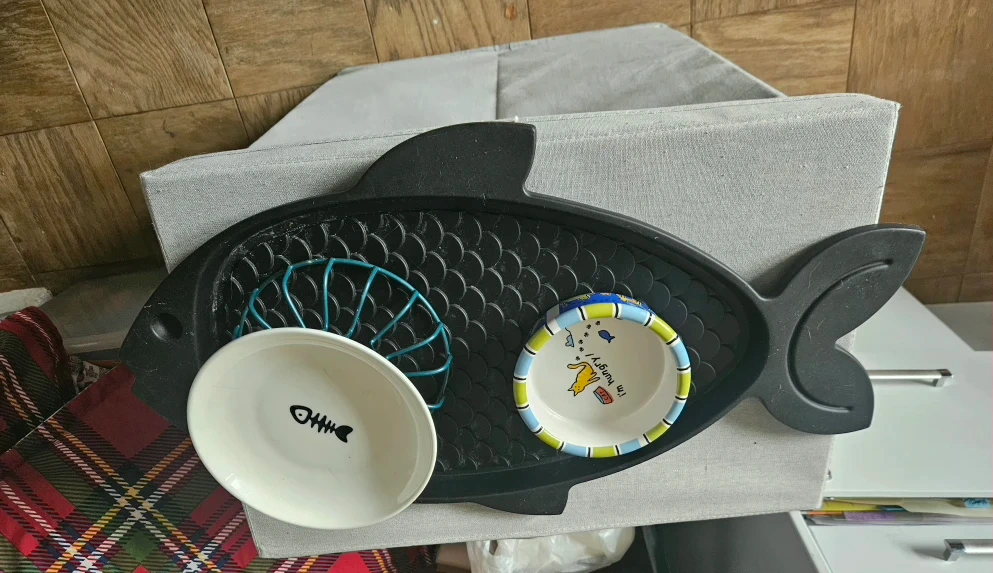 Cat Bowls on Fish-Shaped Placemat