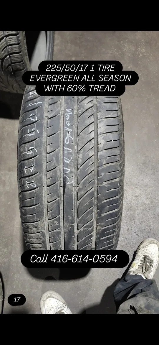 225/50/17 Evergreen All Season Tire