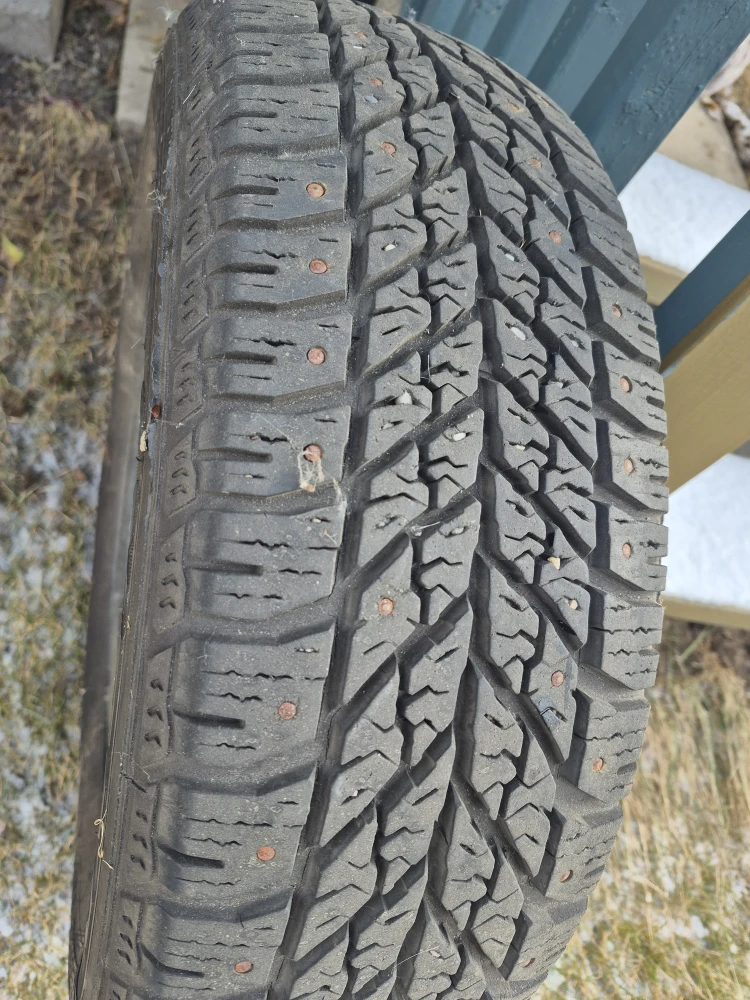 Goodyear Nordic Winter 195/60R15 Studded Tires - photo 3
