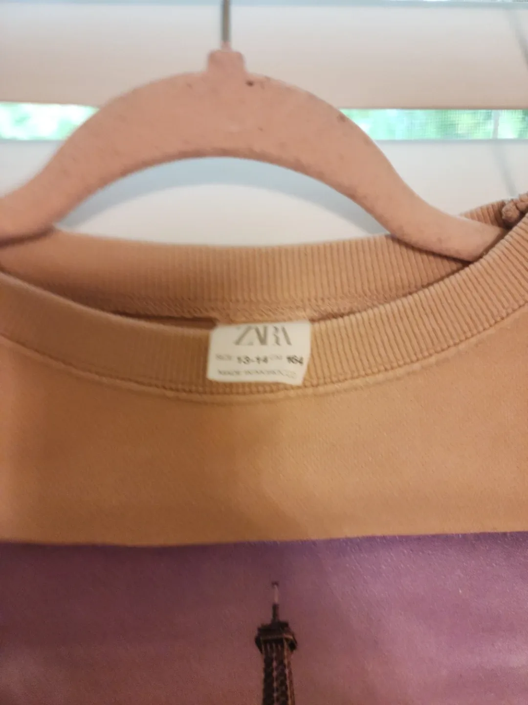 Zara/H&M Kids' Graphic Hoodies or sweatshirts, Size 10-11 and image indicator(2)