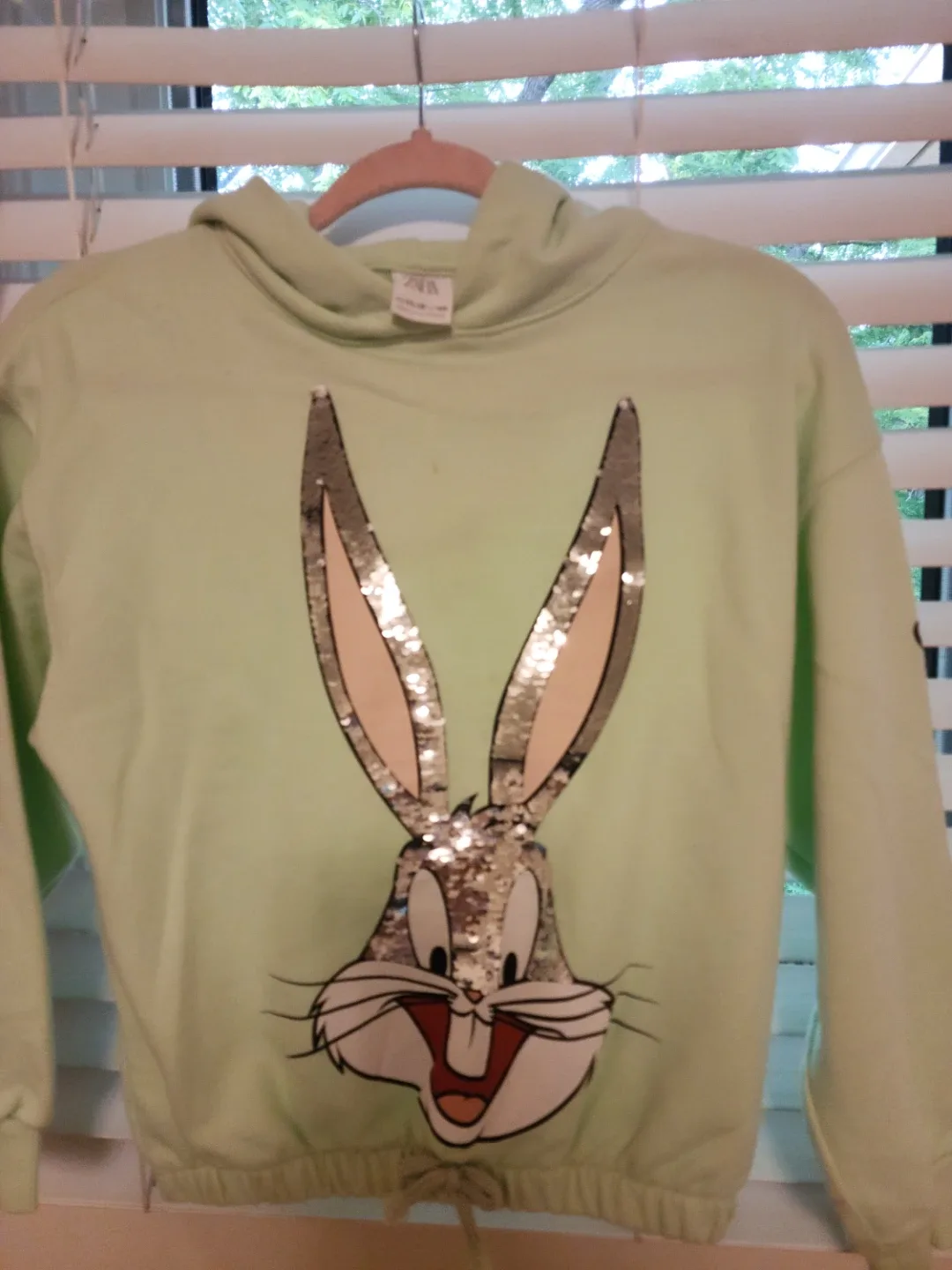 Zara/H&M Kids' Graphic Hoodies or sweatshirts, Size 10-11 and image indicator(5)