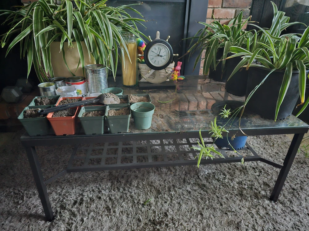 Steel coffee table  2.5'x3.5'