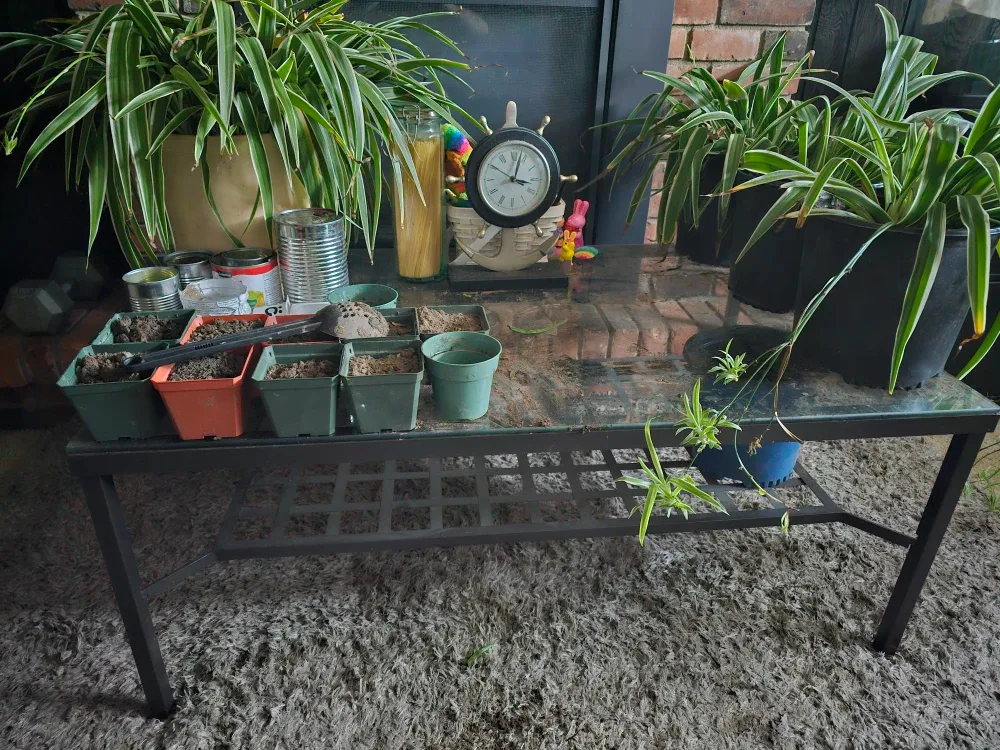 Steel coffee table  2.5'x3.5'