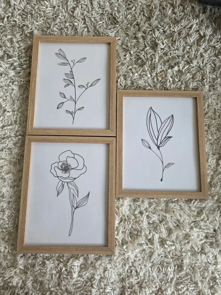 Set of 3 framed botanical prints