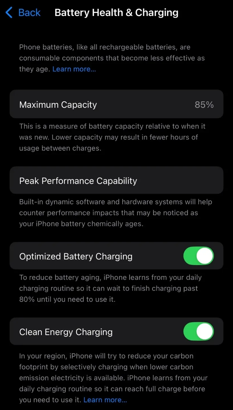 iPhone 13 - Blue image indicator(4)