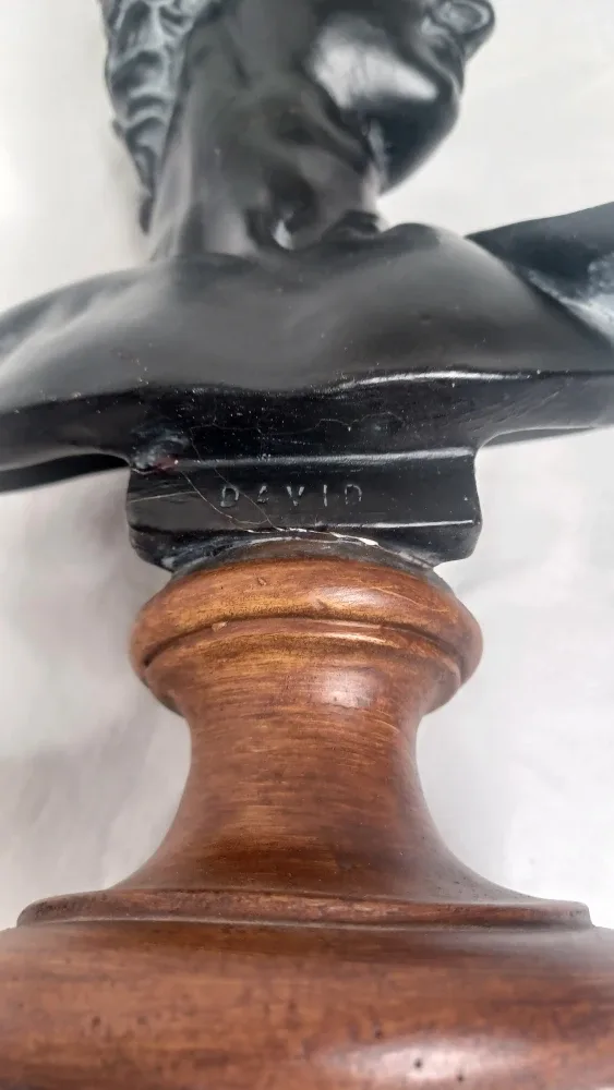 David Bust Statue image indicator(2)