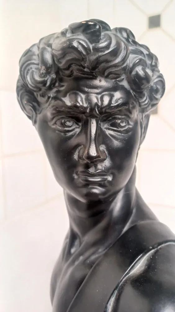 David Bust Statue image indicator(3)