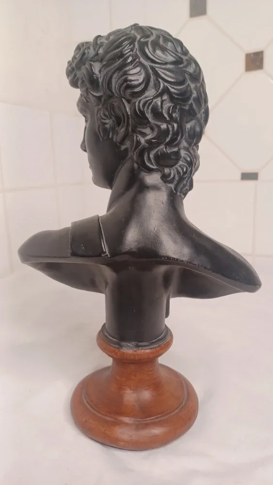 David Bust Statue image indicator(4)