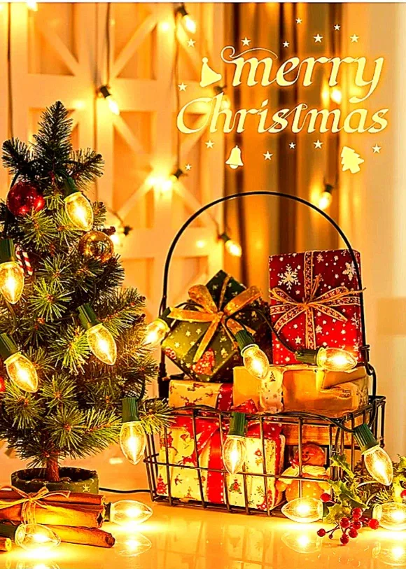 💡Brand New Large Indoor and/or Outdoor Christmas Lights💡 image indicator(10)