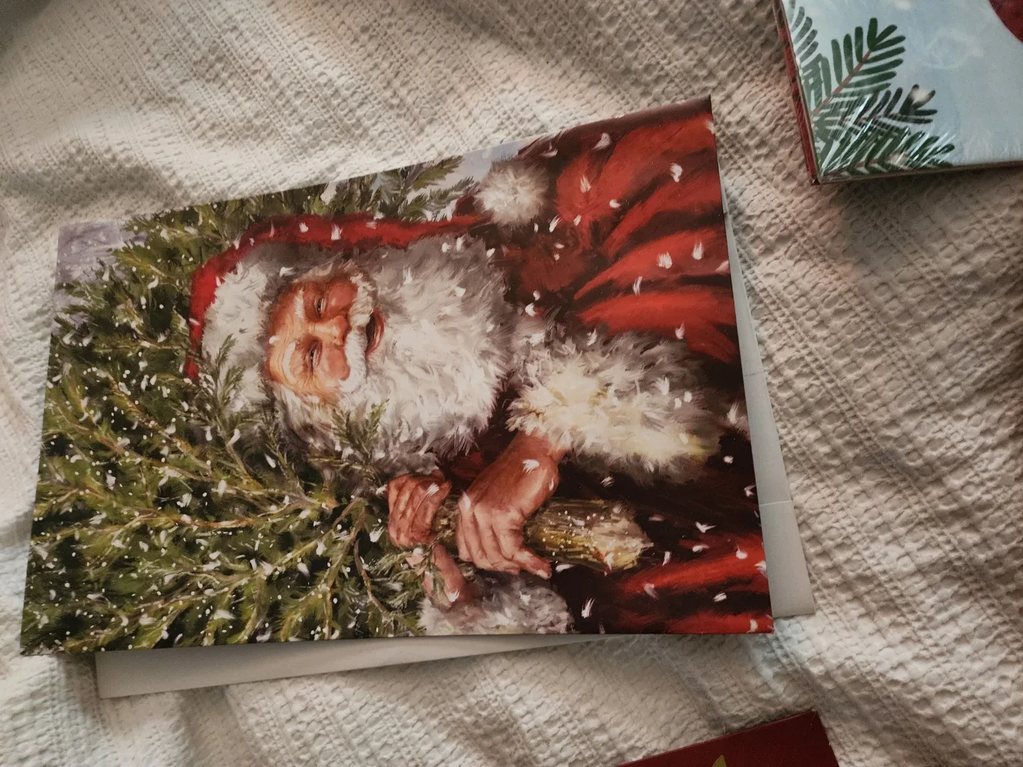 Holiday Decoration Mesh & Craft Supplies image indicator(7)