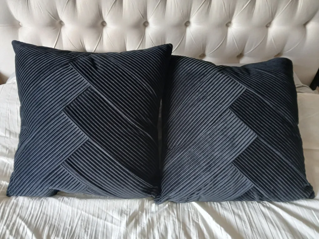 Miscellaneous Throw pillows image indicator(2)