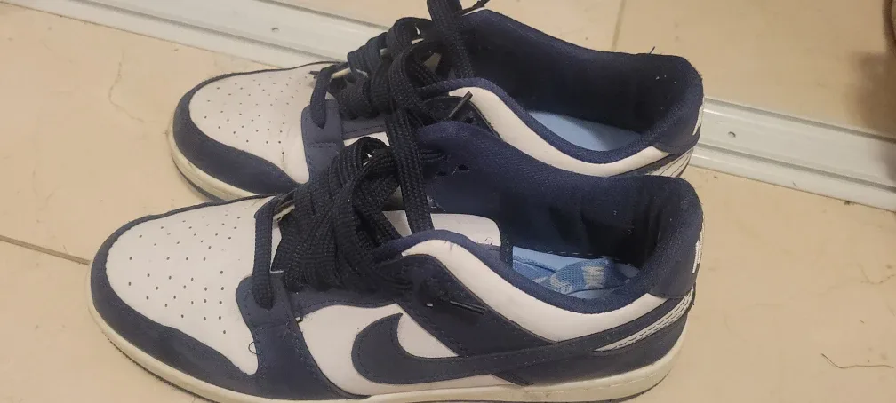 Nike Dunk Low Sneakers - Size 8.5 US