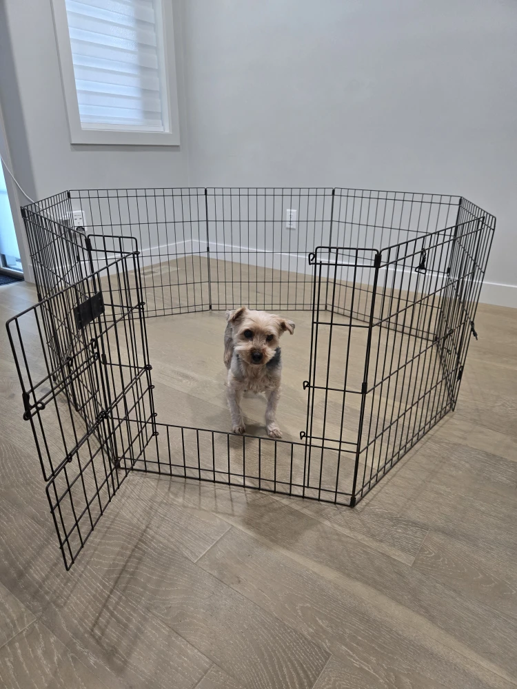 Pet Playpen 24" x 24" - photo 2
