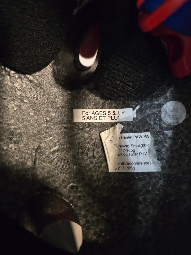 Paw Patrol Roller Skates & Rascalz Helmet image indicator(2)