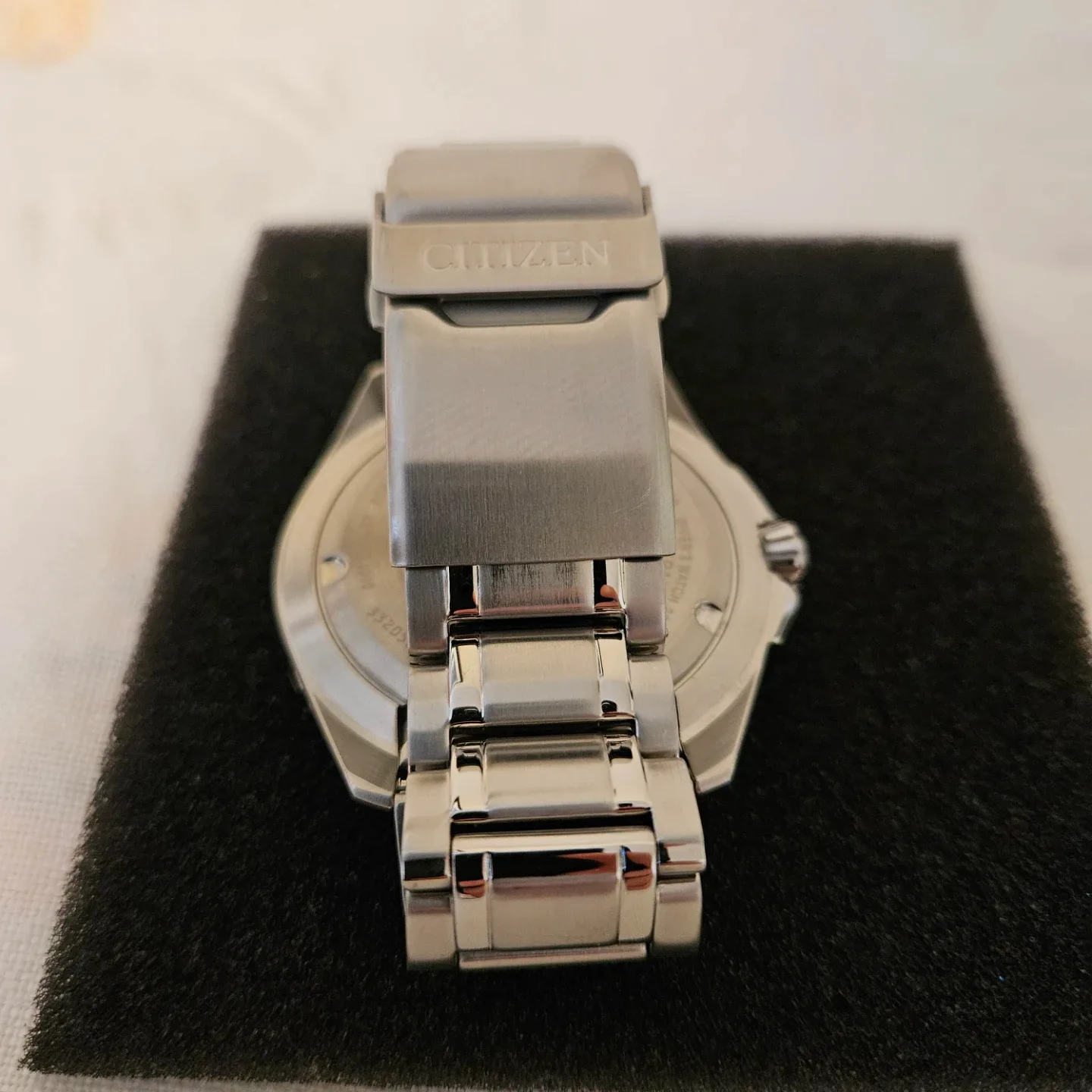 Citizen Eco-Drive Promaster Diver's Watch image indicator(2)