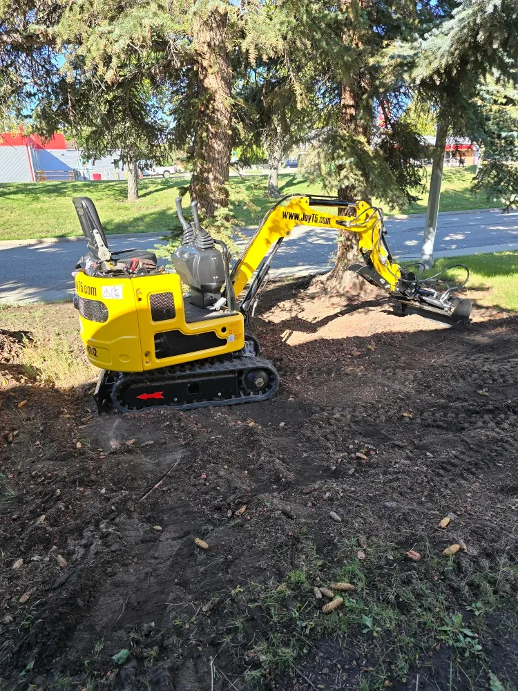 Yard Clean Ups, Dump Runs, Trenching and Small Excavations image indicator(5)