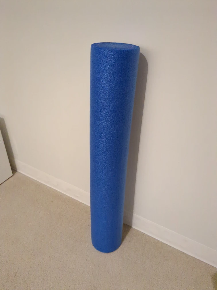 Blue Foam Roller - Exercise & Recovery
