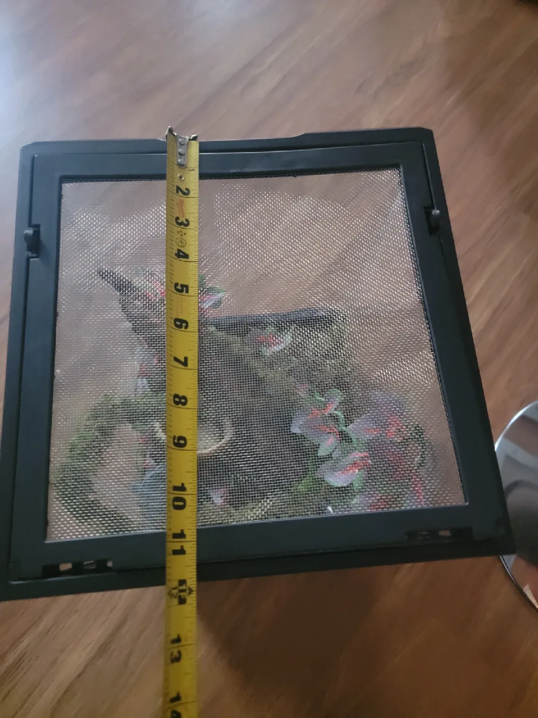 Terrarium with decor image indicator(7)