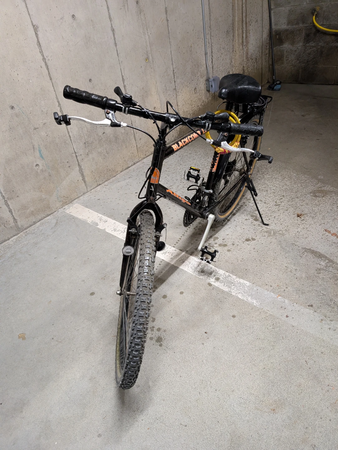 Blackcomb LE Bike - photo 2