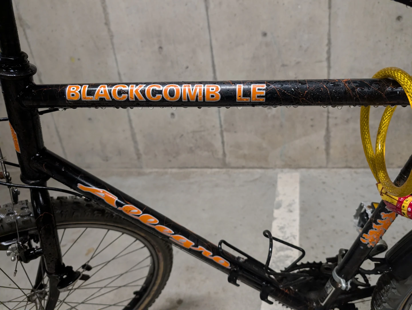 Blackcomb LE Bike - photo 3