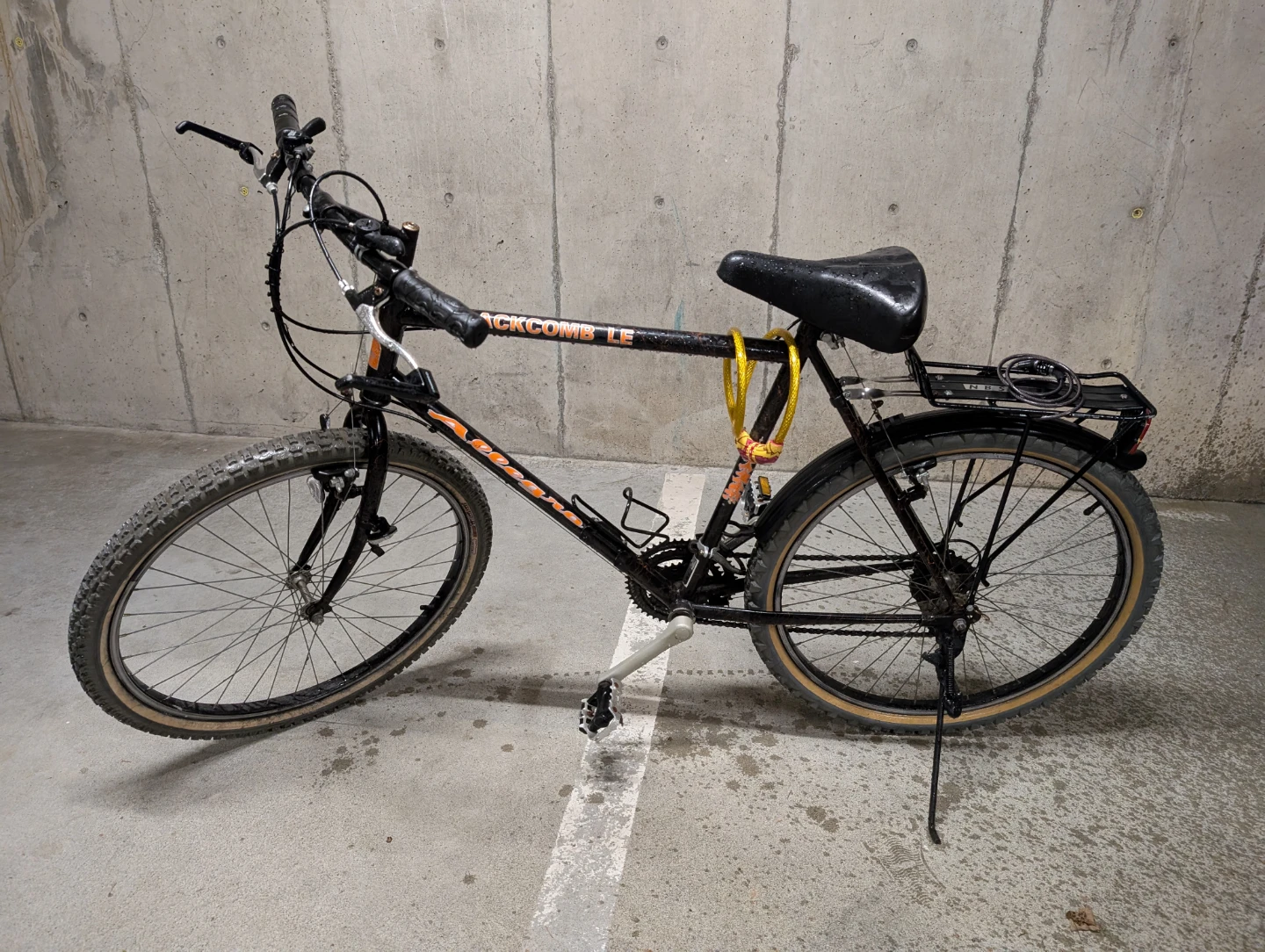 Blackcomb LE Bike - photo 4
