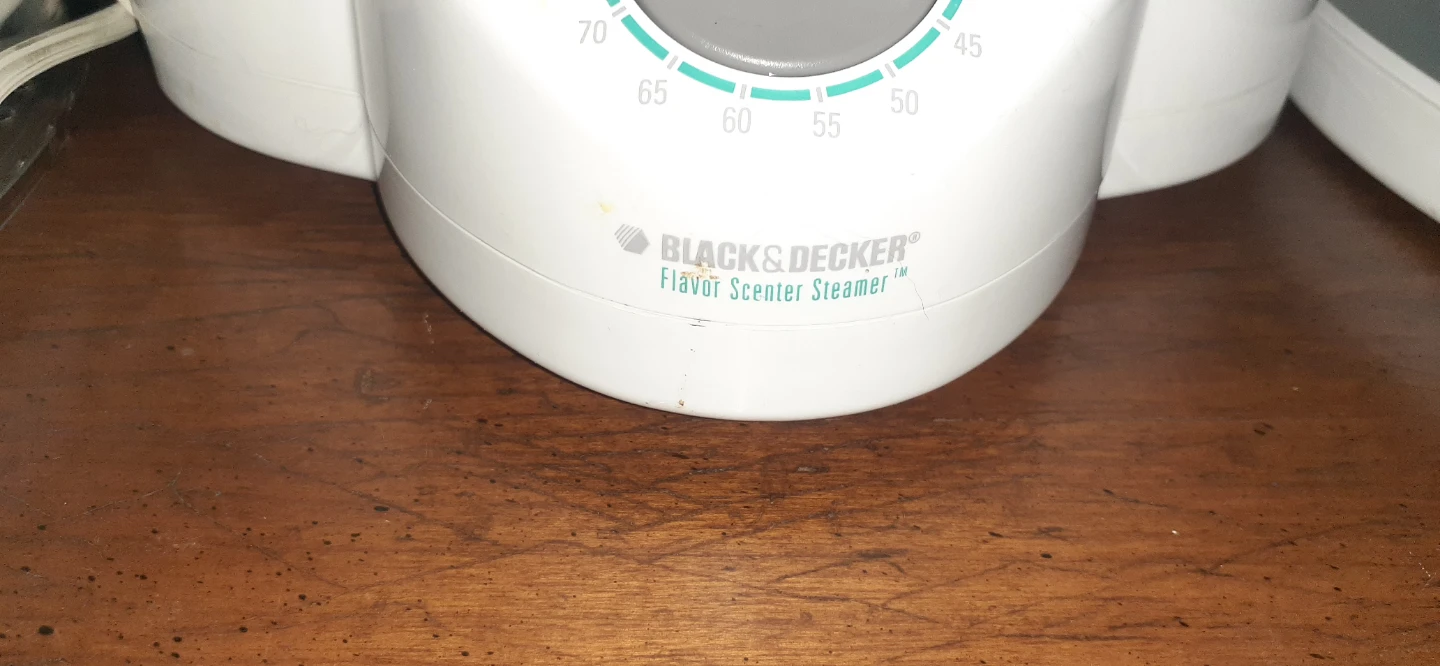 Black & Decker Flavor Scenter Steamer - photo 4
