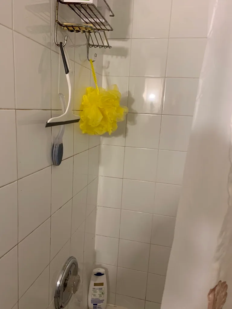 Brownsline area-1bedrm.apt.avail Jan 1/2026 image indicator(6)