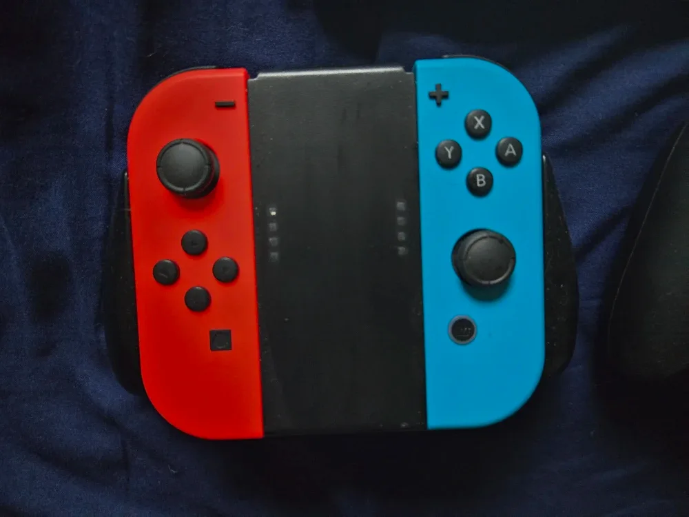 Nintendo Switch Console image indicator(2)