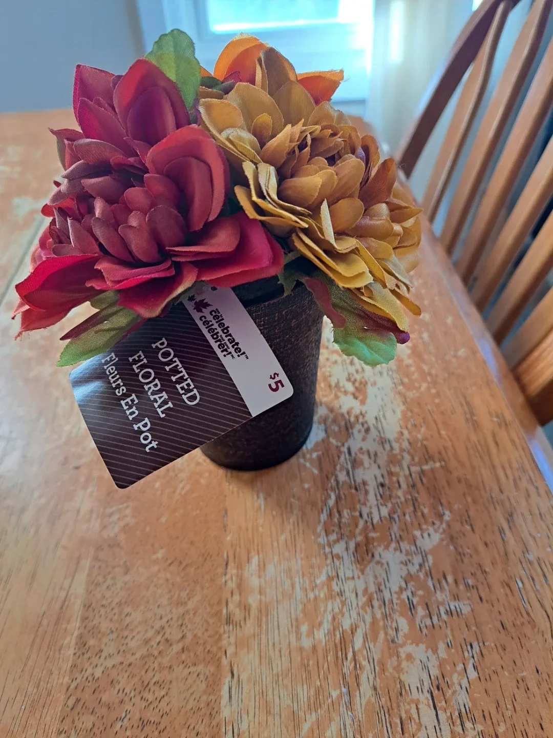 Potted Floral Arrangement - Celebrate It!