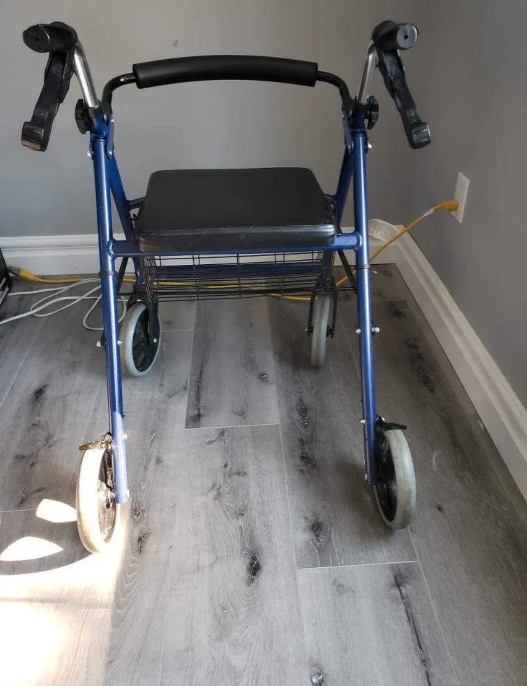 Blue Walker with Seat image indicator(2)