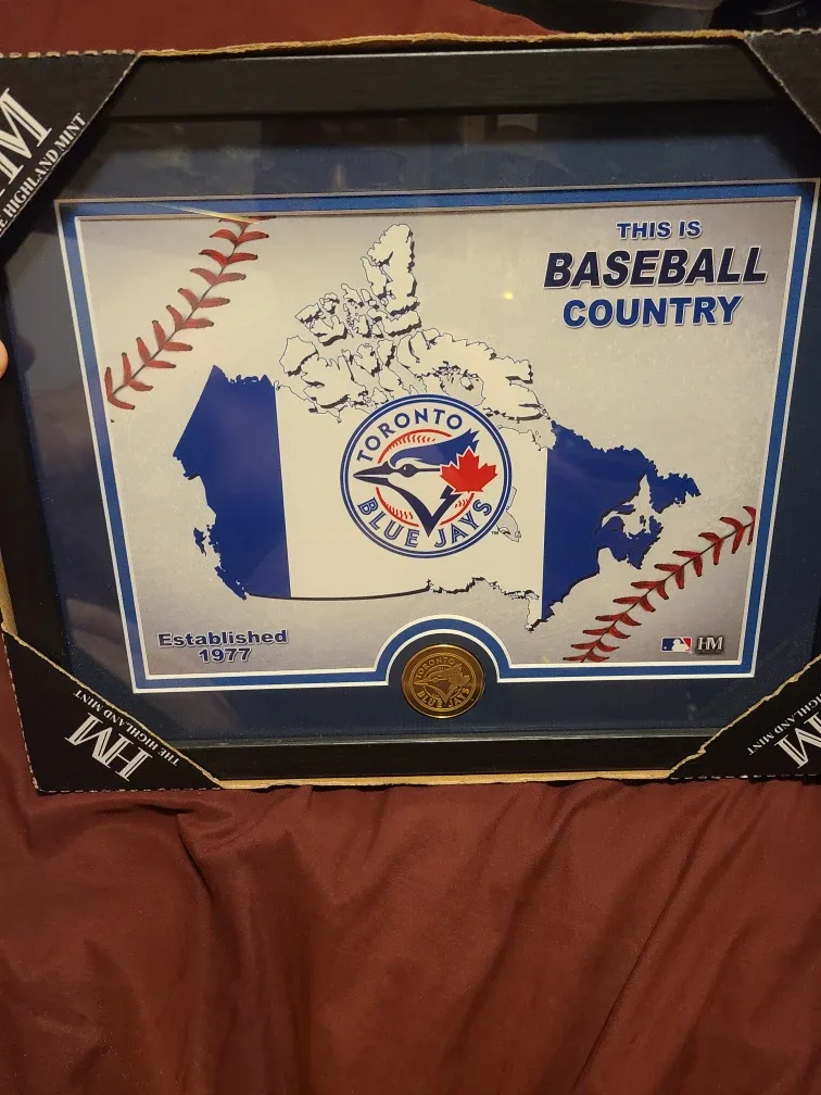 Toronto Blue Jays Framed Baseball Picture image indicator(5)