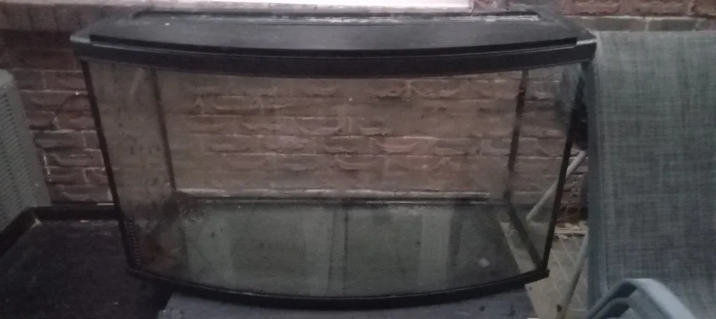 Bow Front Aquarium image indicator(2)