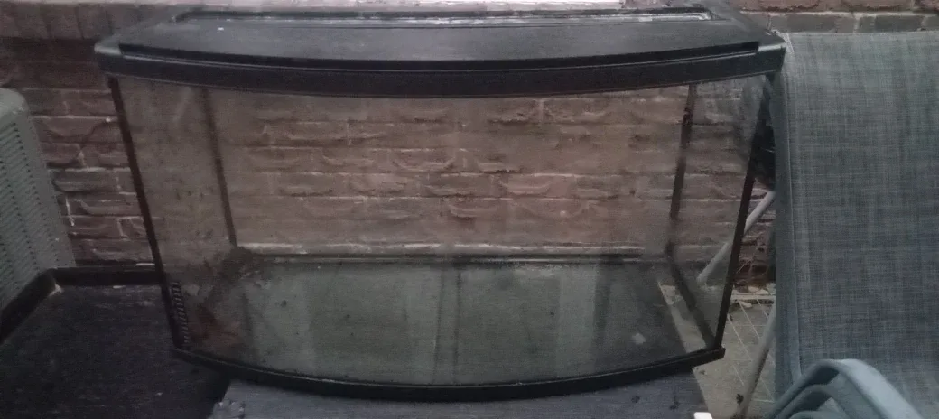 Bow Front Aquarium image indicator(3)