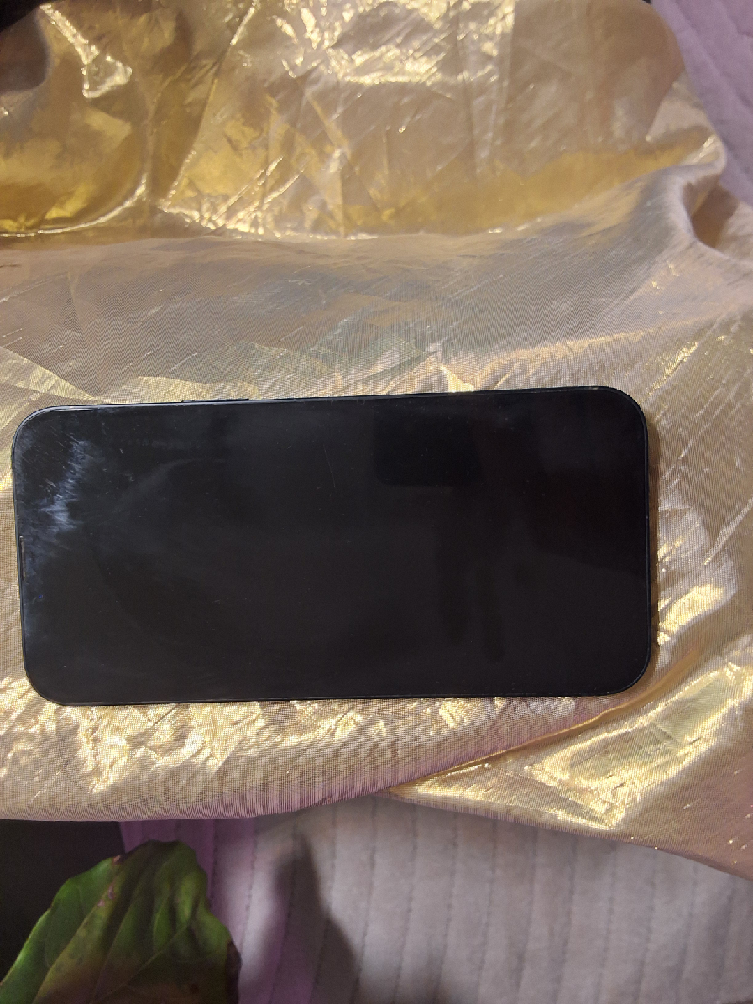 iPhone 14