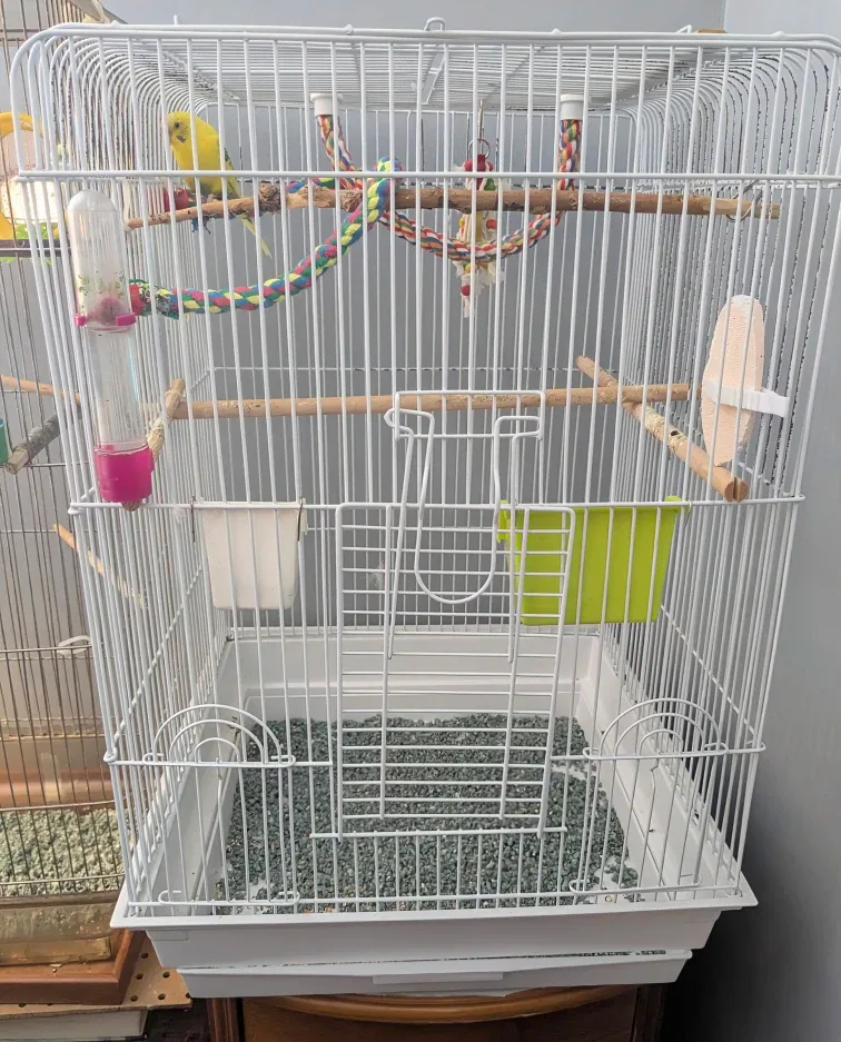 Bird Cage - White