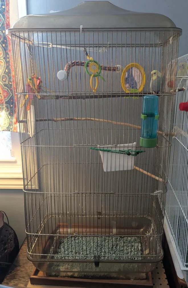 Bird Cage - White image indicator(2)