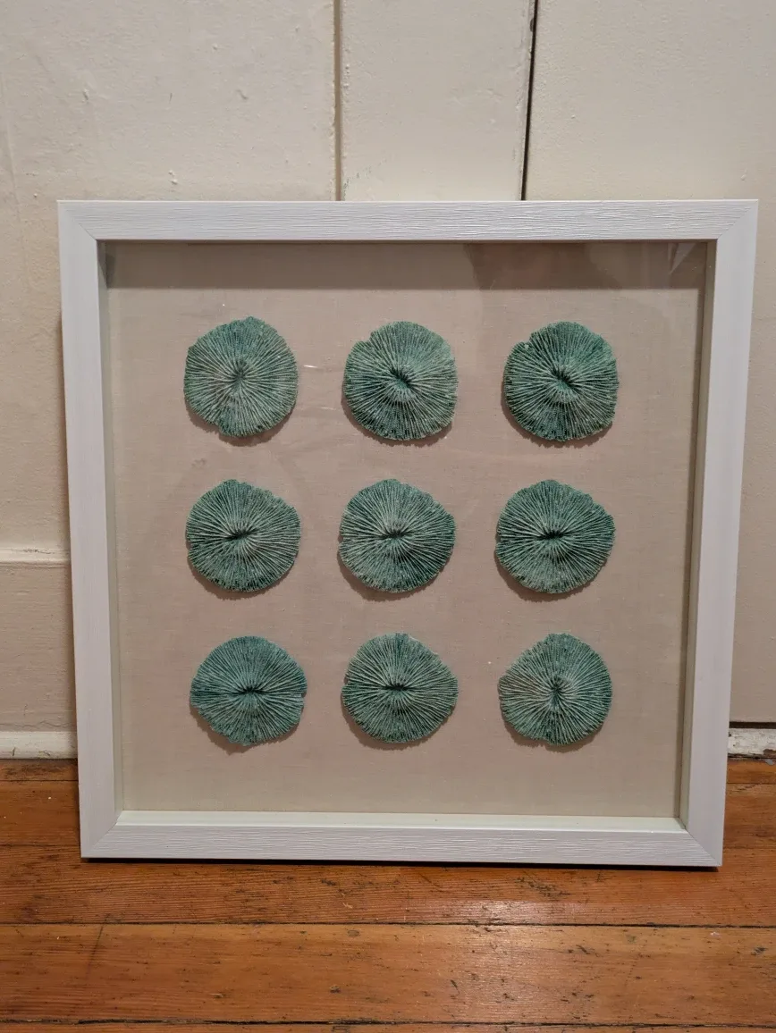 Framed Coral Art