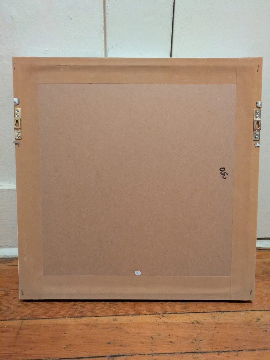 Framed Coral Art image indicator(2)