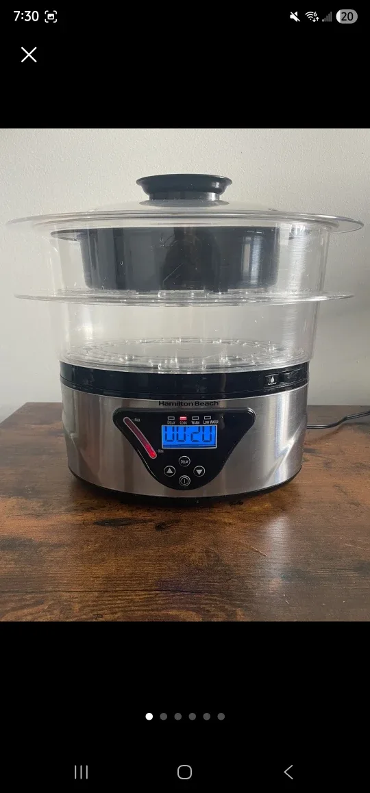 Hamilton Beach Digital Steamer