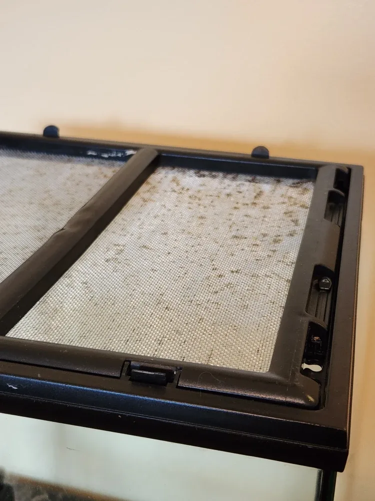 Exo Terra Glass Terrarium Mini Tall image indicator(7)