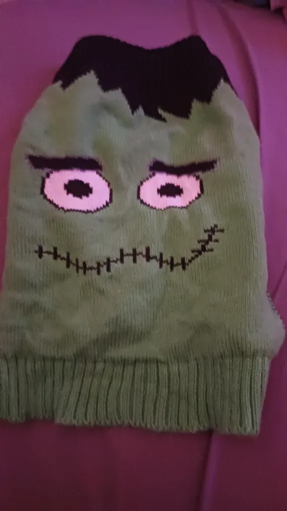 Frankenstein Monster Dog Sweater