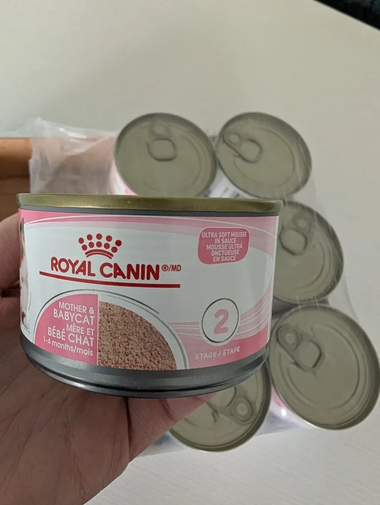 Royal Canin Kitten Wet Food