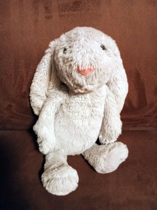 Jellycat Bashful Bunny Plush image indicator(4)