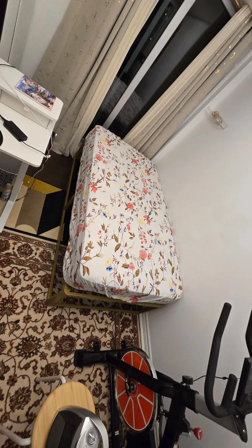 Twin Bed Frame - Metal gold image indicator(3)