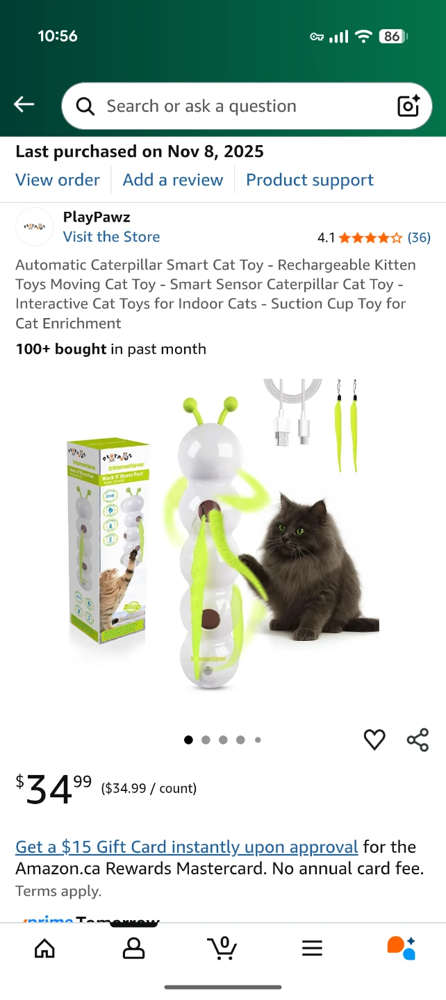 PlayPawz Wack 'A' Worm Post Cat Toy