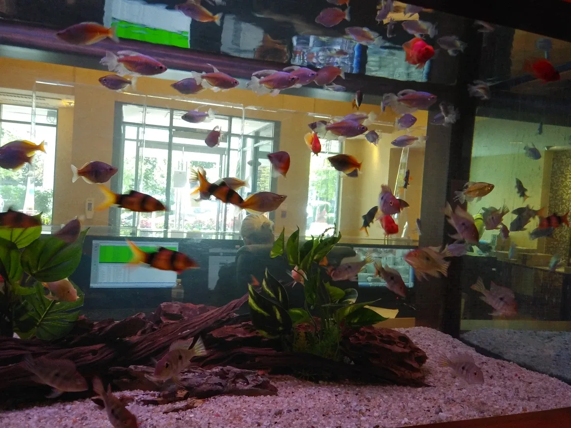 For Rent - Steps from North York Centre Subway Station image indicator(10)